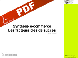 synthese-ecommerce.jpg