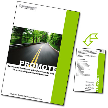 Couverture du livre PROMOTE - Développez l'audience utile de votre site web