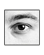 Membre de Forum Marketing : Amomenti